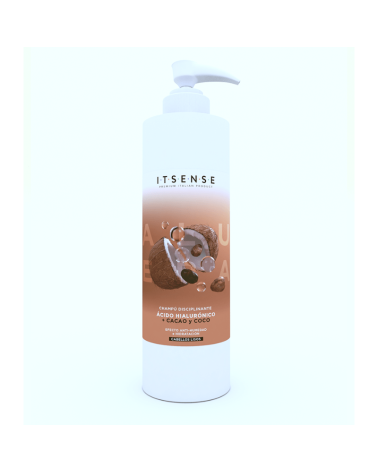 Champú Disciplinante Cacao Coco-ITSENSE