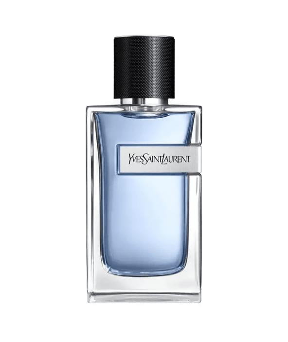 L'Homme YSL