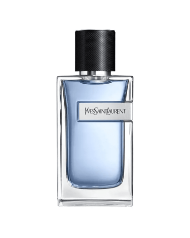 L'Homme YSL