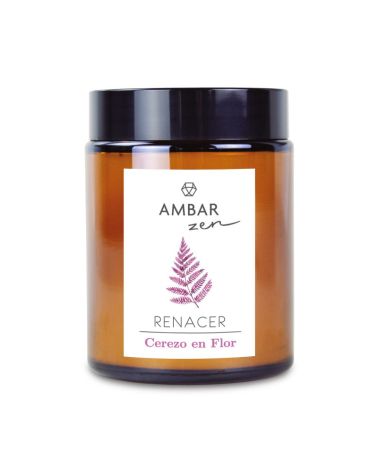 Vela Cerezo en Flor Ambar