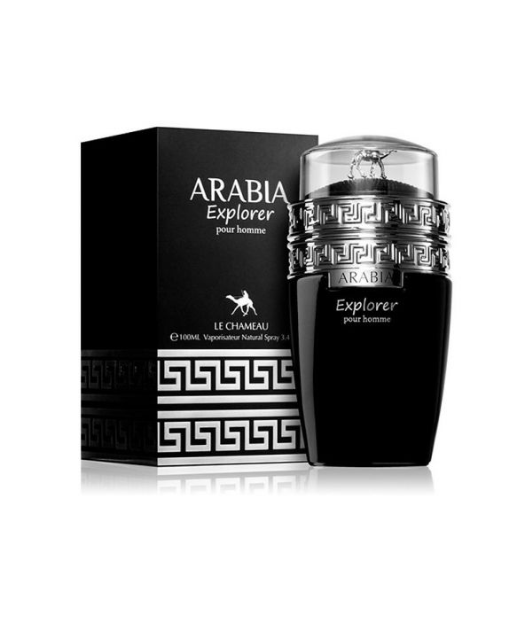 Arabia Explorer Le chameau