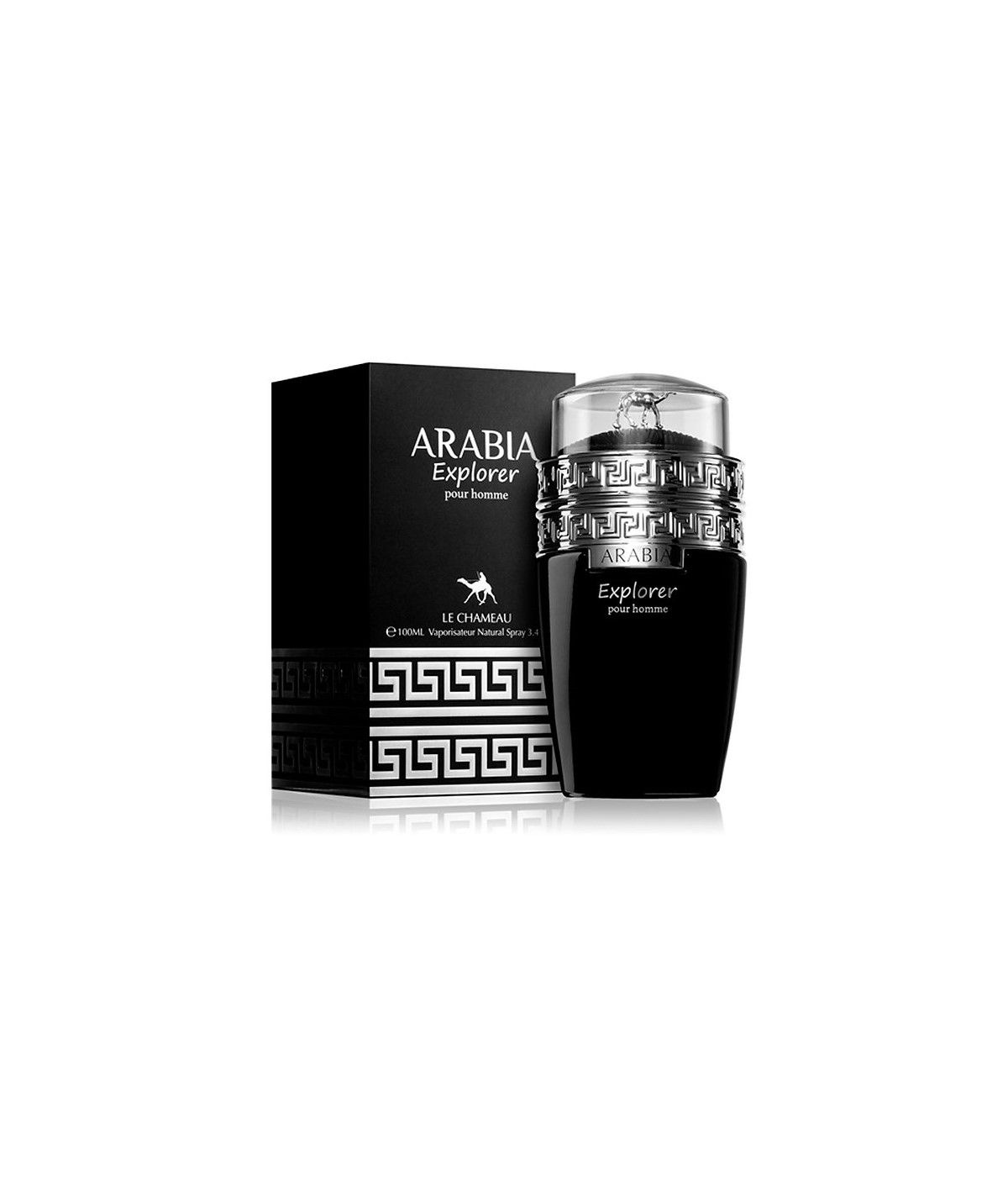 Arabia Explorer Le chameau Arabia Explorer Le chameau