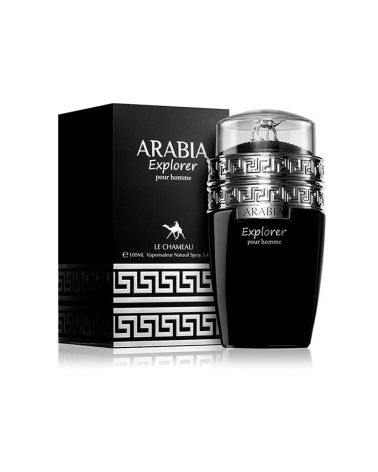 Arabia Explorer Le chameau