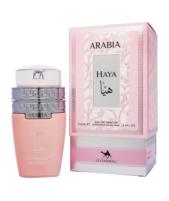 Arabia Haya Le chameau
