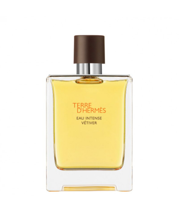 Terre d'Hermès Intense Vetiver