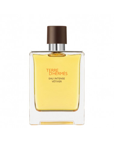 Terre d'Hermès Intense Vetiver