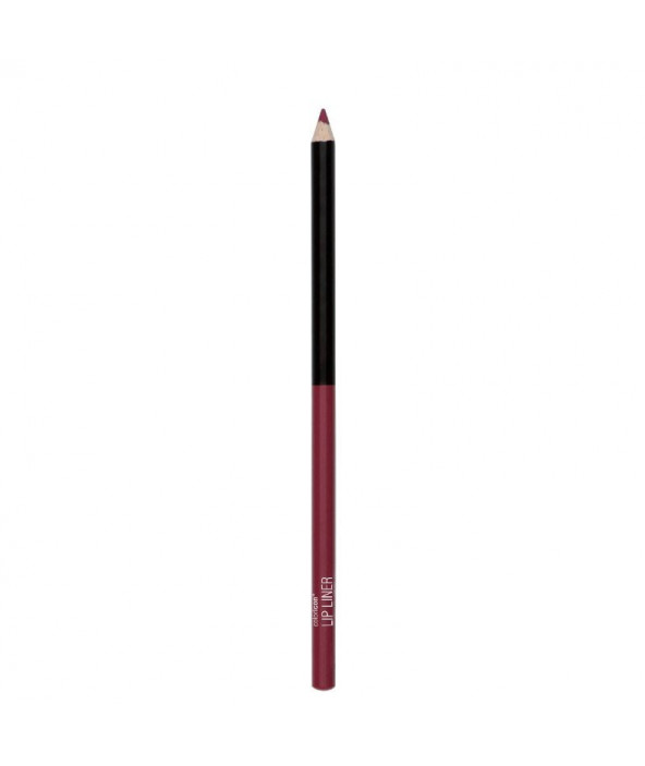 Color Icon Lipliner Perfilador de Labios wet n wild Color Icon Lipliner Perfilador de Labios wet n wild