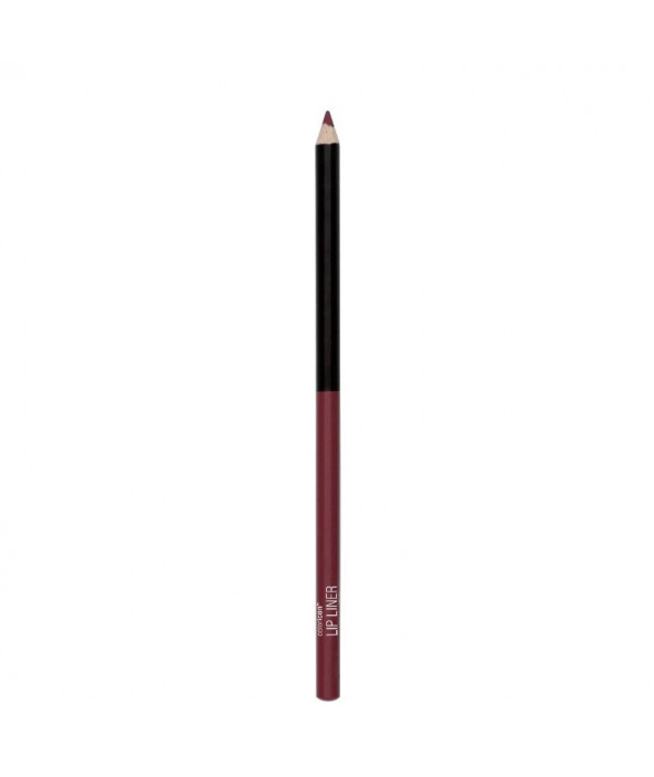 Color Icon Lipliner Perfilador de Labios wet n wild Color Icon Lipliner Perfilador de Labios wet n wild