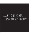 THE COLOR WORKSHOP